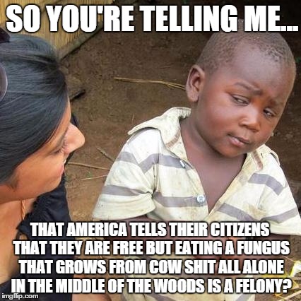Third World Skeptical Kid | SO YOU'RE TELLING ME... THAT AMERICA TELLS THEIR CITIZENS THAT THEY ARE FREE BUT EATING A FUNGUS THAT GROWS FROM COW SHIT ALL ALONE IN THE M | image tagged in memes,third world skeptical kid | made w/ Imgflip meme maker