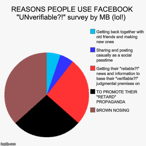 REASONS PEOPLE USE FACEBOOK 
"Doubtful" and "UNverifiable" survey by MB lol! | image tagged in funny,pie charts | made w/ Imgflip chart maker