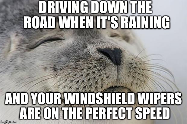Satisfied Seal | DRIVING DOWN THE ROAD WHEN IT'S RAINING AND YOUR WINDSHIELD WIPERS ARE ON THE PERFECT SPEED | image tagged in memes,satisfied seal,AdviceAnimals | made w/ Imgflip meme maker