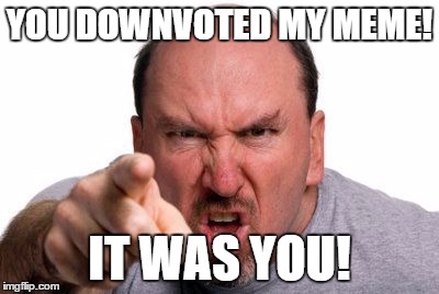 Angry Man Pointing | YOU DOWNVOTED MY MEME! IT WAS YOU! | image tagged in angry man pointing,meme,memes,it was you | made w/ Imgflip meme maker