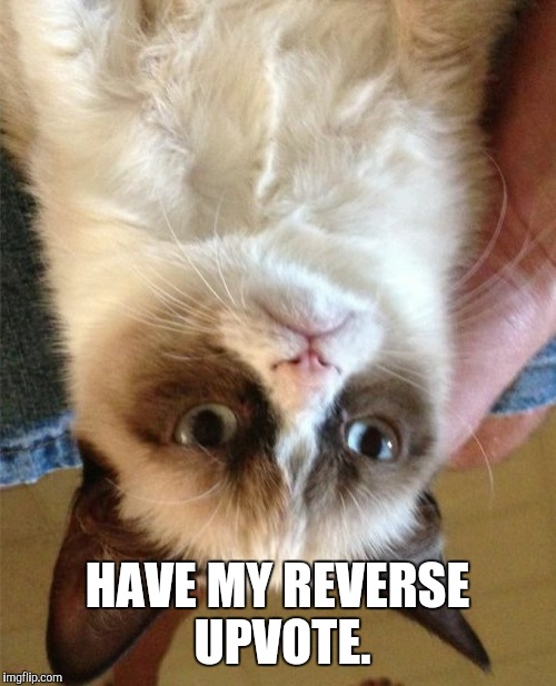 Grumpy Cat Meme | HAVE MY REVERSE UPVOTE. | image tagged in memes,grumpy cat | made w/ Imgflip meme maker