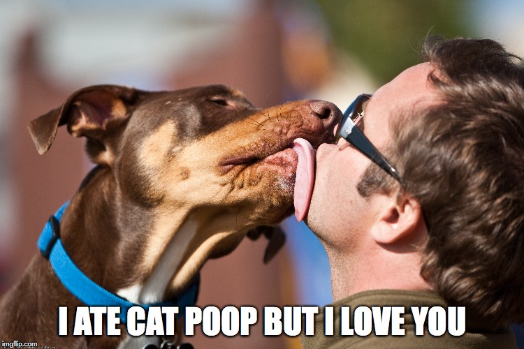 cat poop | I ATE CAT POOP BUT I LOVE YOU | image tagged in licking | made w/ Imgflip meme maker