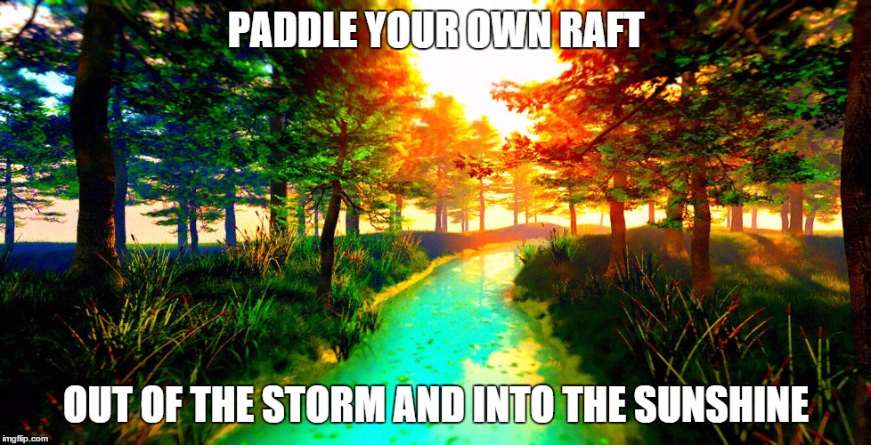 PADDLE YOUR OWN RAFT OUT OF THE STORM AND INTO THE SUNSHINE | image tagged in out of the storm and into the sunshine | made w/ Imgflip meme maker
