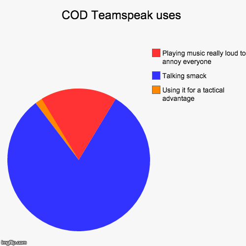 COD Teamspeak uses | image tagged in funny,pie charts,truth,call of duty,relatable | made w/ Imgflip chart maker