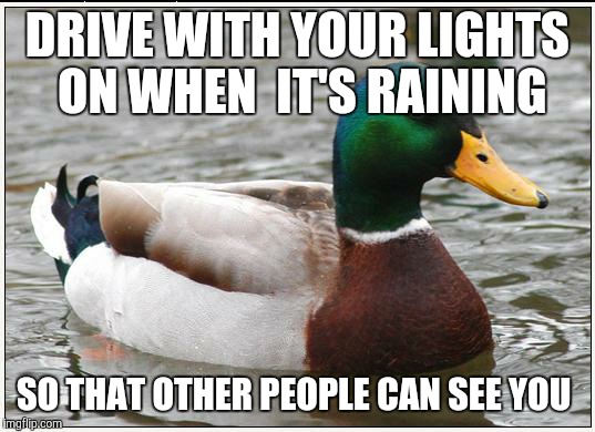 Actual Advice Mallard Meme | DRIVE WITH YOUR LIGHTS ON WHEN  IT'S RAINING SO THAT OTHER PEOPLE CAN SEE YOU | image tagged in memes,actual advice mallard | made w/ Imgflip meme maker