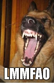Laughing Dog | LMMFAO | image tagged in laughing dog | made w/ Imgflip meme maker