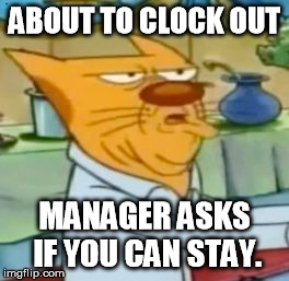 CatDogCat UGH | ABOUT TO CLOCK OUT MANAGER ASKS IF YOU CAN STAY. | image tagged in catdog,cat,grumpy | made w/ Imgflip meme maker