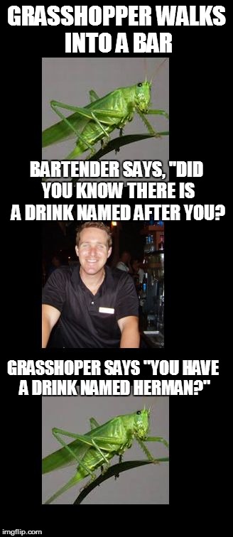 Grasshopper walks into a bar | GRASSHOPPER WALKS INTO A BAR BARTENDER SAYS, "DID YOU KNOW THERE IS A DRINK NAMED AFTER YOU? GRASSHOPER SAYS "YOU HAVE A DRINK NAMED HERMAN? | image tagged in drinking,drink,bartender,jason the bartender,joke | made w/ Imgflip meme maker