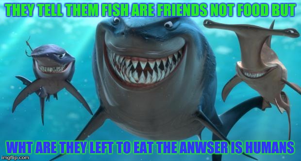 Fish are friends not food | THEY TELL THEM FISH ARE FRIENDS NOT FOOD BUT WHT ARE THEY LEFT TO EAT THE ANWSER IS HUMANS | image tagged in fish are friends not food | made w/ Imgflip meme maker