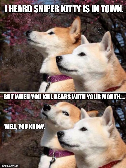 constipation dogs | I HEARD SNIPER KITTY IS IN TOWN. BUT WHEN YOU KILL BEARS WITH YOUR MOUTH.... WELL, YOU KNOW. | image tagged in constipation dogs | made w/ Imgflip meme maker