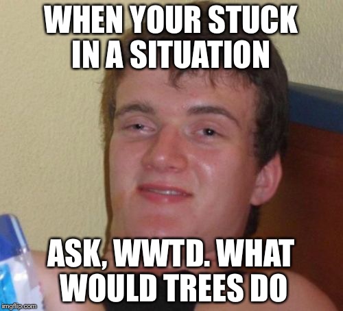 10 Guy | WHEN YOUR STUCK IN A SITUATION ASK, WWTD. WHAT WOULD TREES DO | image tagged in memes,10 guy | made w/ Imgflip meme maker