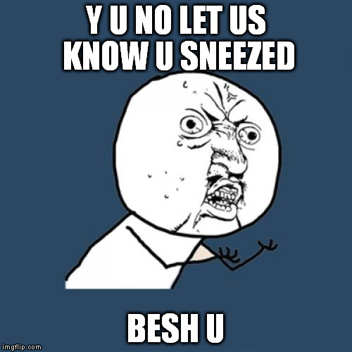 Y U No Meme | Y U NO LET US KNOW U SNEEZED BESH U | image tagged in memes,y u no | made w/ Imgflip meme maker