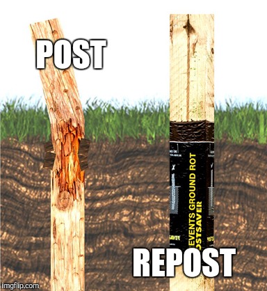 POST REPOST | made w/ Imgflip meme maker