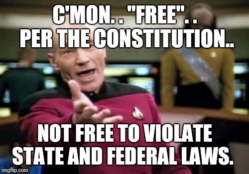 Picard Wtf Meme | C'MON. . "FREE". . PER THE CONSTITUTION.. NOT FREE TO VIOLATE STATE AND FEDERAL LAWS. | image tagged in memes,picard wtf | made w/ Imgflip meme maker