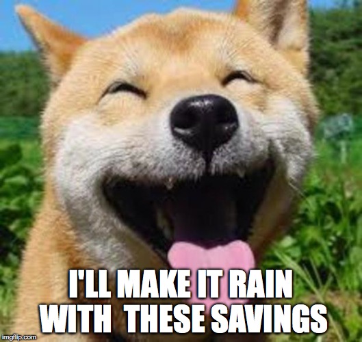 Happy Doge | I'LL MAKE IT RAIN WITH THESE SAVINGS | image tagged in happy doge | made w/ Imgflip meme maker