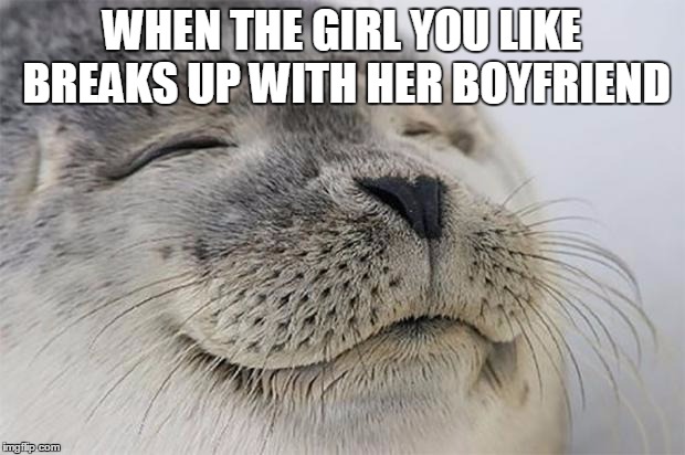Selfish? Yes. Do i care? NOOOOPE! | WHEN THE GIRL YOU LIKE BREAKS UP WITH HER BOYFRIEND | image tagged in memes,satisfied seal | made w/ Imgflip meme maker
