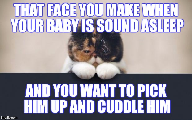 Sad Cat | THAT FACE YOU MAKE WHEN YOUR BABY IS SOUND ASLEEP AND YOU WANT TO PICK HIM UP AND CUDDLE HIM | image tagged in sad cat | made w/ Imgflip meme maker