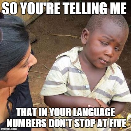 Third World Skeptical Kid | SO YOU'RE TELLING ME THAT IN YOUR LANGUAGE NUMBERS DON'T STOP AT FIVE | image tagged in memes,third world skeptical kid | made w/ Imgflip meme maker