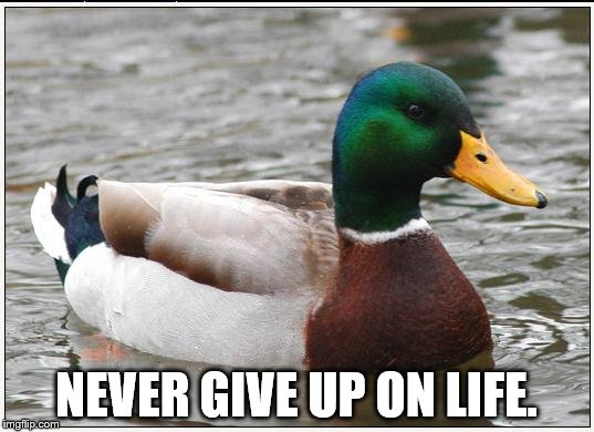 Some useful advice:
Even when you don't think your worth it, know everyone else thinks you are. | NEVER GIVE UP ON LIFE. | image tagged in memes,actual advice mallard | made w/ Imgflip meme maker