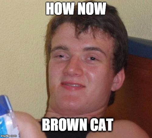 10 Guy Does Grammar | HOW NOW BROWN CAT | image tagged in memes,10 guy | made w/ Imgflip meme maker