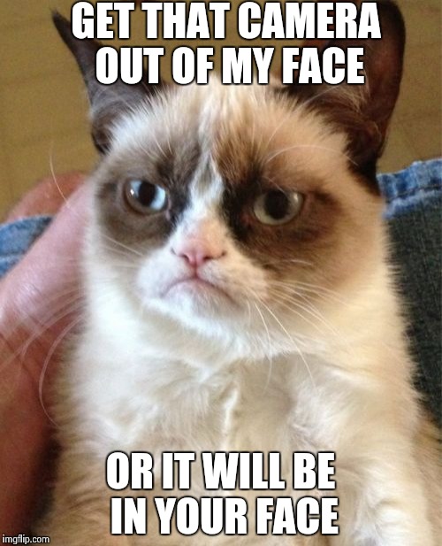Grumpy Cat Meme | GET THAT CAMERA OUT OF MY FACE OR IT WILL BE IN YOUR FACE | image tagged in memes,grumpy cat | made w/ Imgflip meme maker