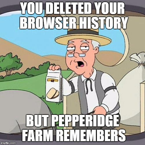 Pepperidge Farm Remembers | YOU DELETED YOUR BROWSER HISTORY BUT PEPPERIDGE FARM REMEMBERS | image tagged in memes,pepperidge farm remembers | made w/ Imgflip meme maker