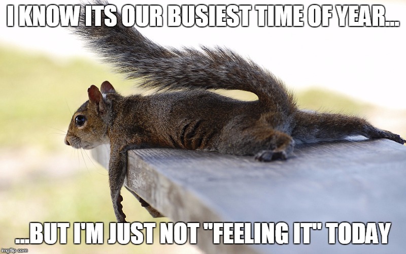 its rainy, its wednesday, i just want a good movie and a blanket | I KNOW ITS OUR BUSIEST TIME OF YEAR... ...BUT I'M JUST NOT "FEELING IT" TODAY | image tagged in squirrel | made w/ Imgflip meme maker