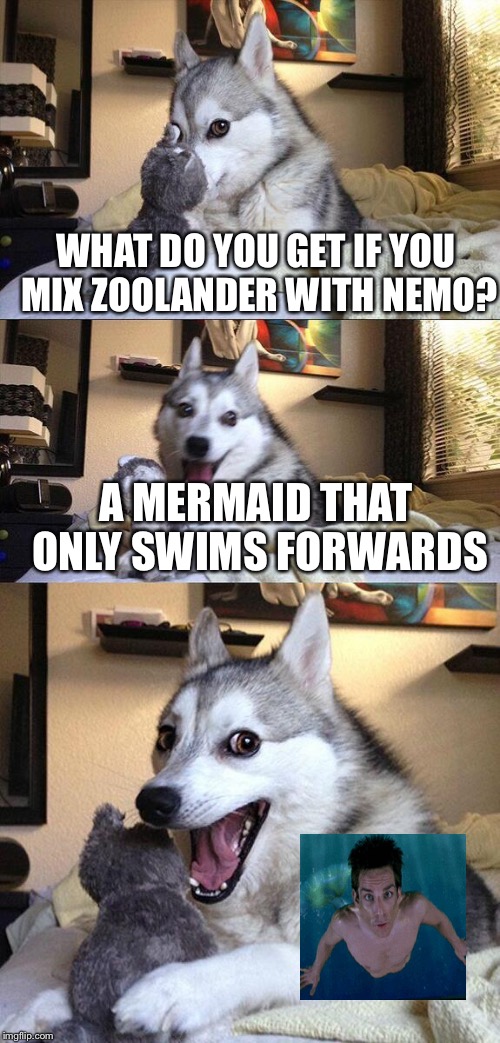 Bad Pun Dog | WHAT DO YOU GET IF YOU MIX ZOOLANDER WITH NEMO? A MERMAID THAT ONLY SWIMS FORWARDS | image tagged in memes,bad pun dog | made w/ Imgflip meme maker