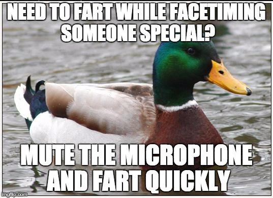 Actual Advice Mallard Meme | NEED TO FART WHILE FACETIMING SOMEONE SPECIAL? MUTE THE MICROPHONE AND FART QUICKLY | image tagged in memes,actual advice mallard | made w/ Imgflip meme maker