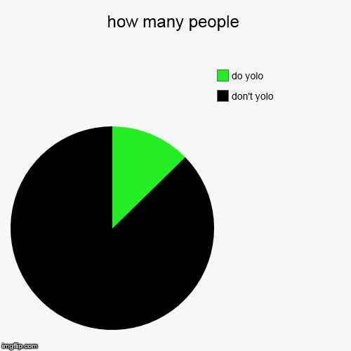 How many people yolo in games | image tagged in funny,pie charts,yolo,games,video games | made w/ Imgflip chart maker