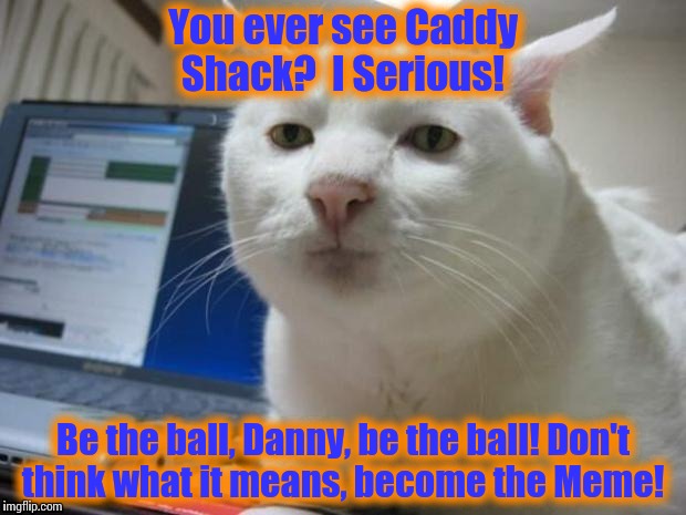 Serious Cat | You ever see Caddy Shack?  I Serious! Be the ball, Danny, be the ball! Don't think what it means, become the Meme! | image tagged in serious cat | made w/ Imgflip meme maker