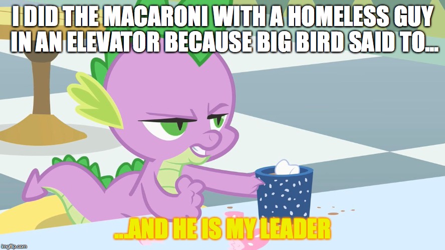 spike's coffee | I DID THE MACARONI WITH A HOMELESS GUY IN AN ELEVATOR BECAUSE BIG BIRD SAID TO... ...AND HE IS MY LEADER | image tagged in spike's coffee | made w/ Imgflip meme maker
