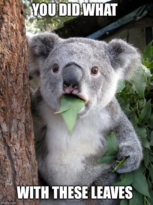 Surprised Koala | YOU DID WHAT WITH THESE LEAVES | image tagged in memes,surprised koala | made w/ Imgflip meme maker