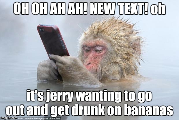 monkey snopes | OH OH AH AH! NEW TEXT! oh it's jerry wanting to go out and get drunk on bananas | image tagged in monkey snopes | made w/ Imgflip meme maker