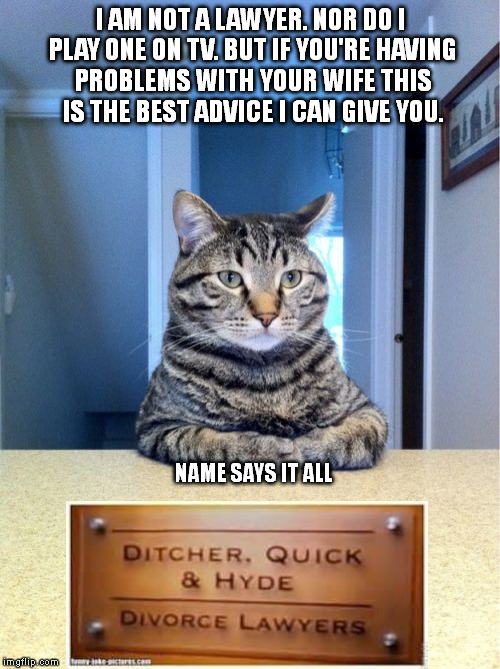 Half your stuff is gonna be gone. | I AM NOT A LAWYER. NOR DO I PLAY ONE ON TV. BUT IF YOU'RE HAVING PROBLEMS WITH YOUR WIFE THIS IS THE BEST ADVICE I CAN GIVE YOU. NAME SAYS I | image tagged in memes,take a seat cat | made w/ Imgflip meme maker
