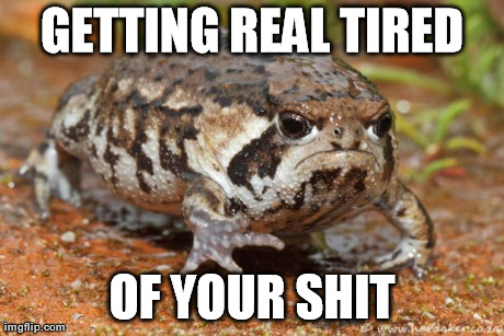 GETTING REAL TIRED OF YOUR SHIT | image tagged in funny,animals,frogs | made w/ Imgflip meme maker