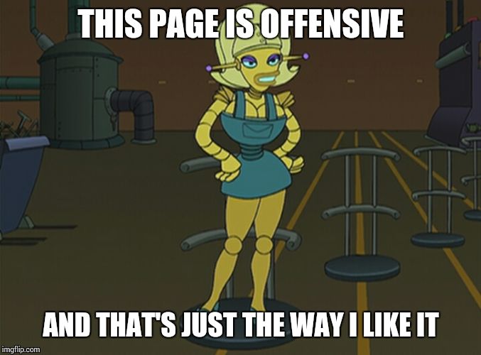 The Way I Like It | THIS PAGE IS OFFENSIVE AND THAT'S JUST THE WAY I LIKE IT | image tagged in futurama,offensive,meme | made w/ Imgflip meme maker