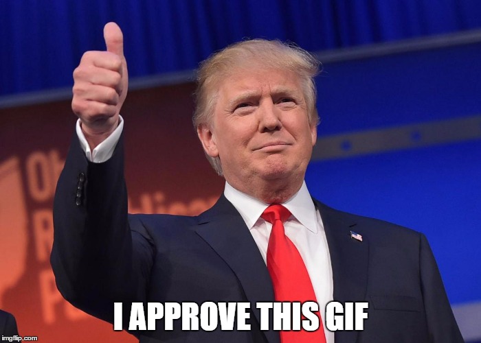 I APPROVE THIS GIF | made w/ Imgflip meme maker