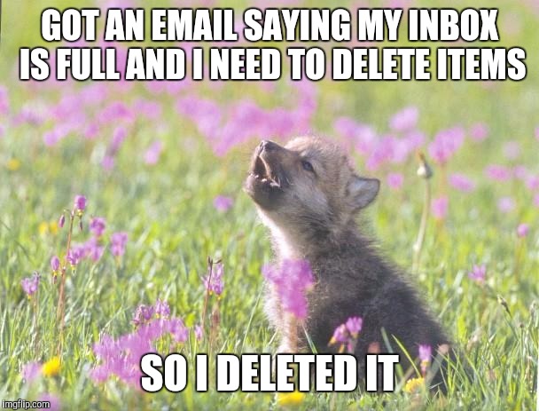 Baby Insanity Wolf | GOT AN EMAIL SAYING MY INBOX IS FULL AND I NEED TO DELETE ITEMS SO I DELETED IT | image tagged in memes,baby insanity wolf | made w/ Imgflip meme maker