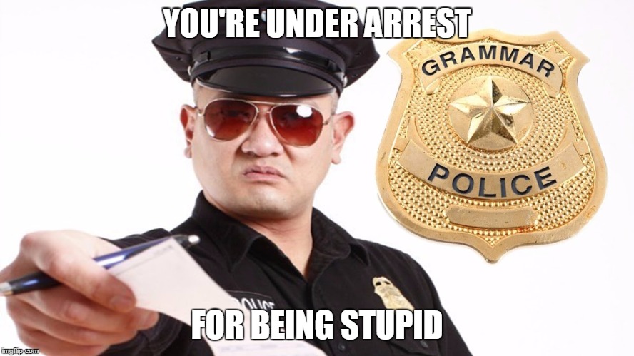 Grammar Police | YOU'RE UNDER ARREST FOR BEING STUPID | image tagged in grammar police,police | made w/ Imgflip meme maker