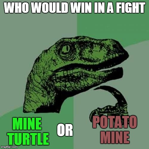 Philosoraptor | WHO WOULD WIN IN A FIGHT MINE TURTLE OR POTATO MINE | image tagged in memes,philosoraptor | made w/ Imgflip meme maker