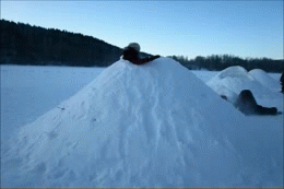 image tagged in gifs | made w/ Imgflip video-to-gif maker