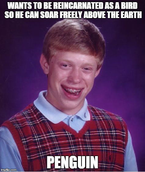 Bad Luck Brian Meme | WANTS TO BE REINCARNATED AS A BIRD SO HE CAN SOAR FREELY ABOVE THE EARTH PENGUIN | image tagged in memes,bad luck brian | made w/ Imgflip meme maker