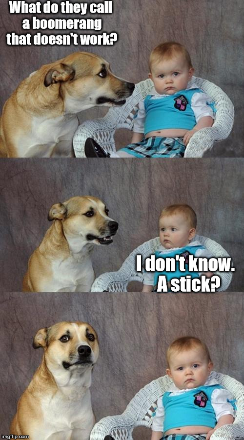 Go fetch, Fido. | What do they call a boomerang that doesn't work? I don't know.  A stick? | image tagged in memes,dad joke dog,meme | made w/ Imgflip meme maker