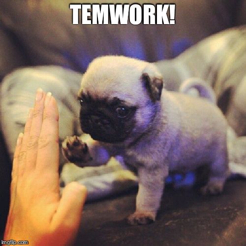 TEMWORK! | made w/ Imgflip meme maker