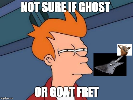 Futurama Fry | NOT SURE IF GHOST OR GOAT FRET | image tagged in memes,futurama fry | made w/ Imgflip meme maker