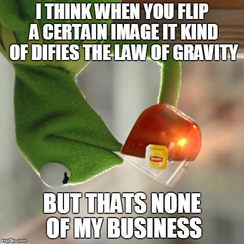 But That's None Of My Business | I THINK WHEN YOU FLIP A CERTAIN IMAGE IT KIND OF DIFIES THE LAW OF GRAVITY BUT THATS NONE OF MY BUSINESS | image tagged in memes,but thats none of my business,kermit the frog | made w/ Imgflip meme maker