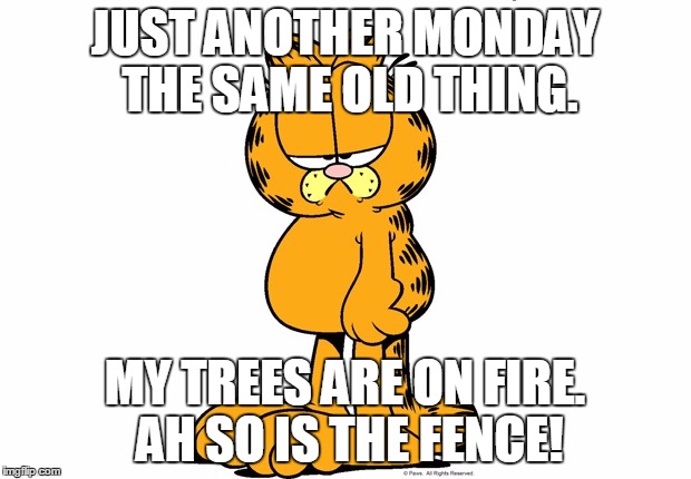 Grumpy Garfield | JUST ANOTHER MONDAY THE SAME OLD THING. MY TREES ARE ON FIRE. AH SO IS THE FENCE! | image tagged in grumpy garfield | made w/ Imgflip meme maker
