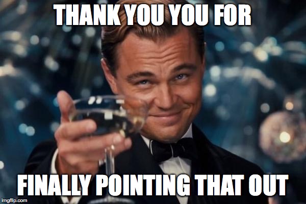 Leonardo Dicaprio Cheers Meme | THANK YOU YOU FOR FINALLY POINTING THAT OUT | image tagged in memes,leonardo dicaprio cheers | made w/ Imgflip meme maker