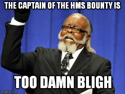 Too Damn High | THE CAPTAIN OF THE HMS BOUNTY IS TOO DAMN BLIGH | image tagged in memes,too damn high | made w/ Imgflip meme maker